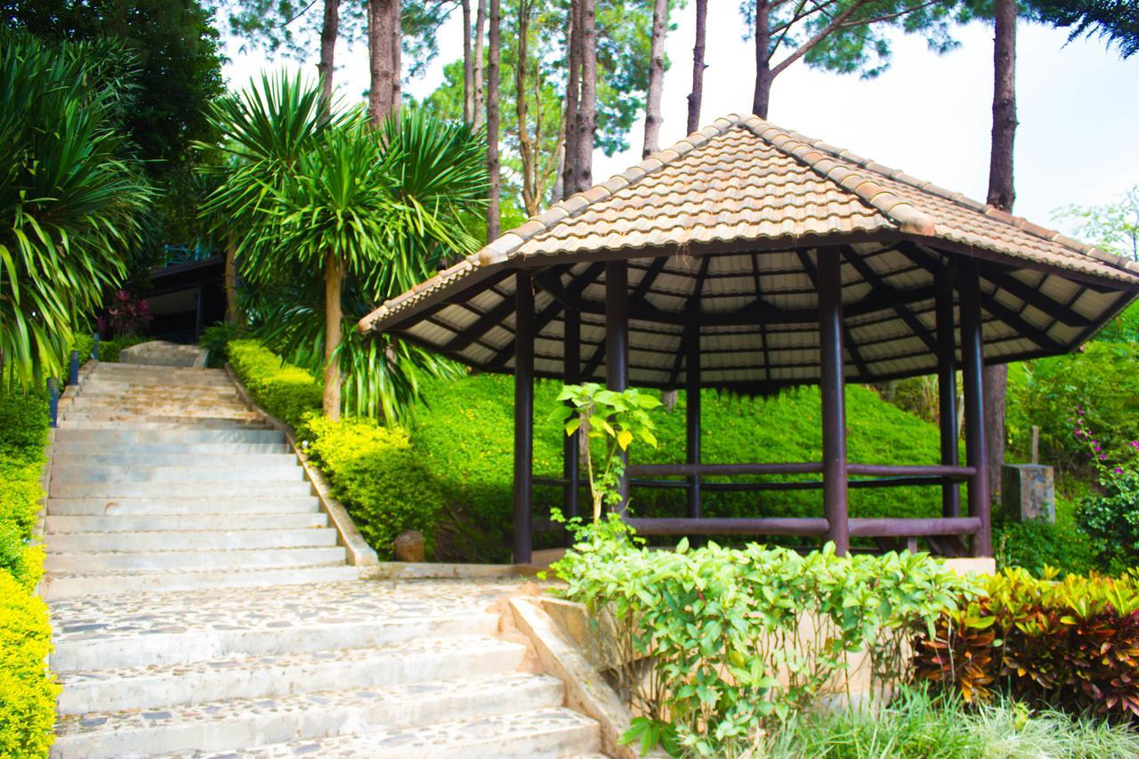 Bird Land Resort Кхао-Кхо Экстерьер фото