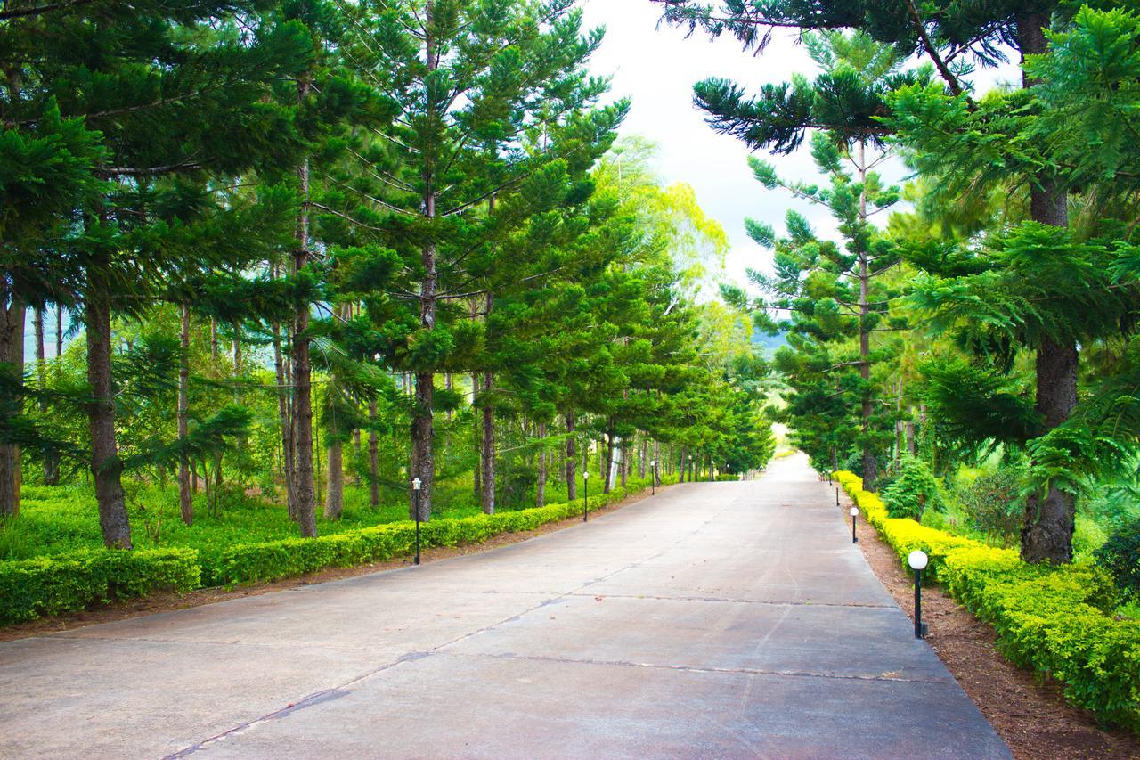 Bird Land Resort Кхао-Кхо Экстерьер фото