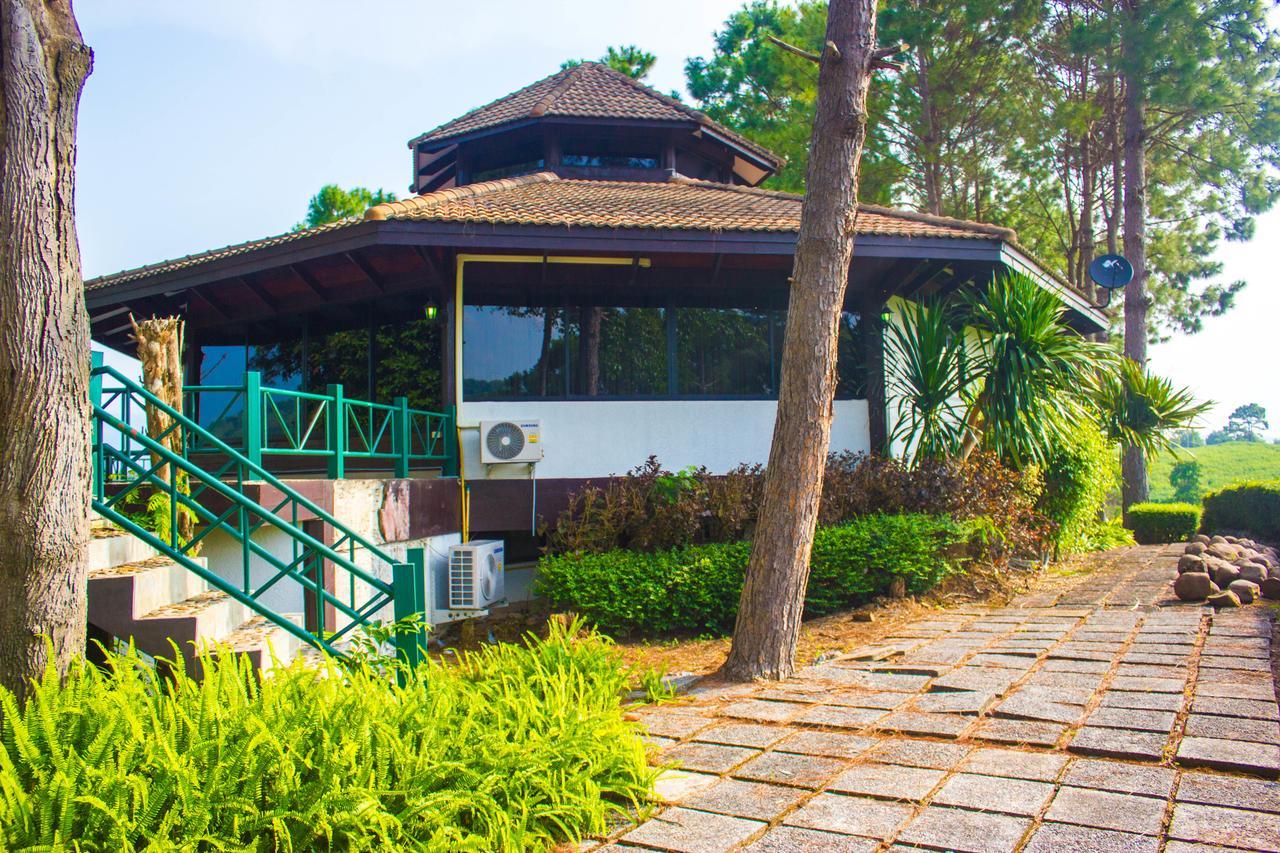 Bird Land Resort Кхао-Кхо Экстерьер фото